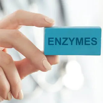 Enzimi