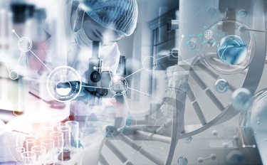 La scelta dietro la bellezza: la profonda connessione tra cosmetici e vita sostenibile