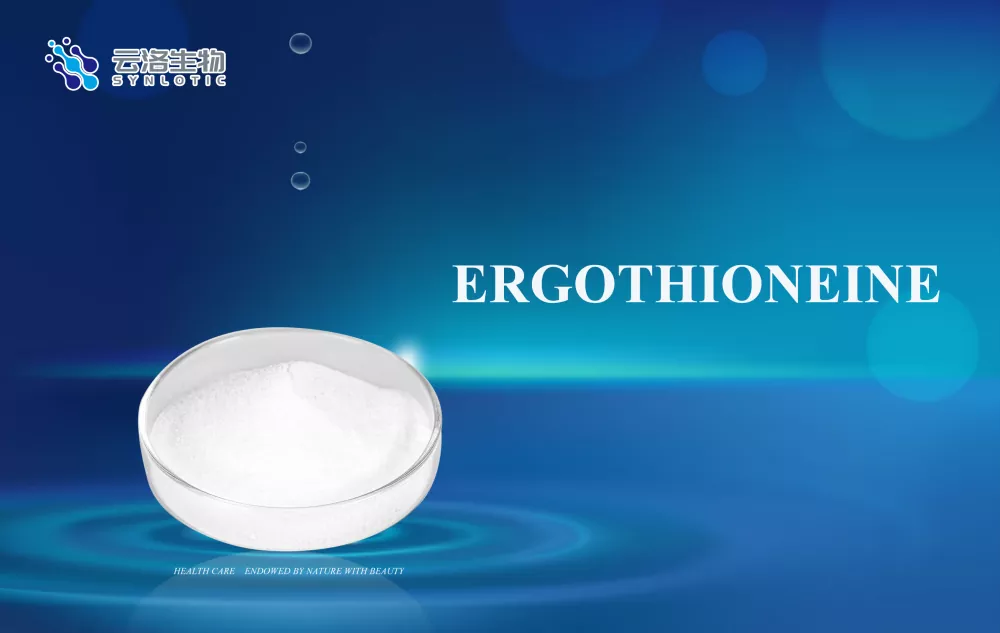 Ergotioneina: la 