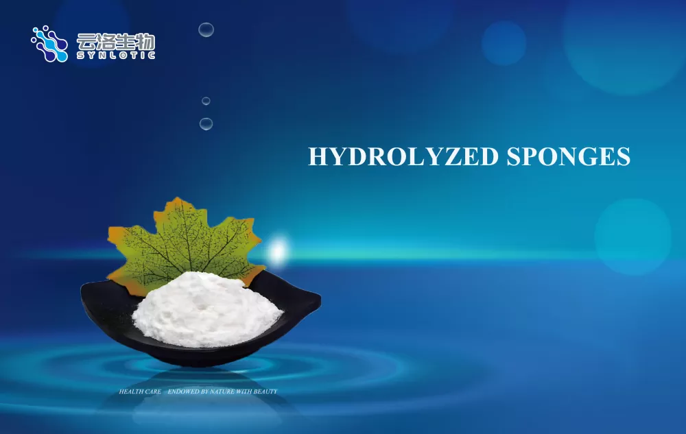 Spugne idrolizzate