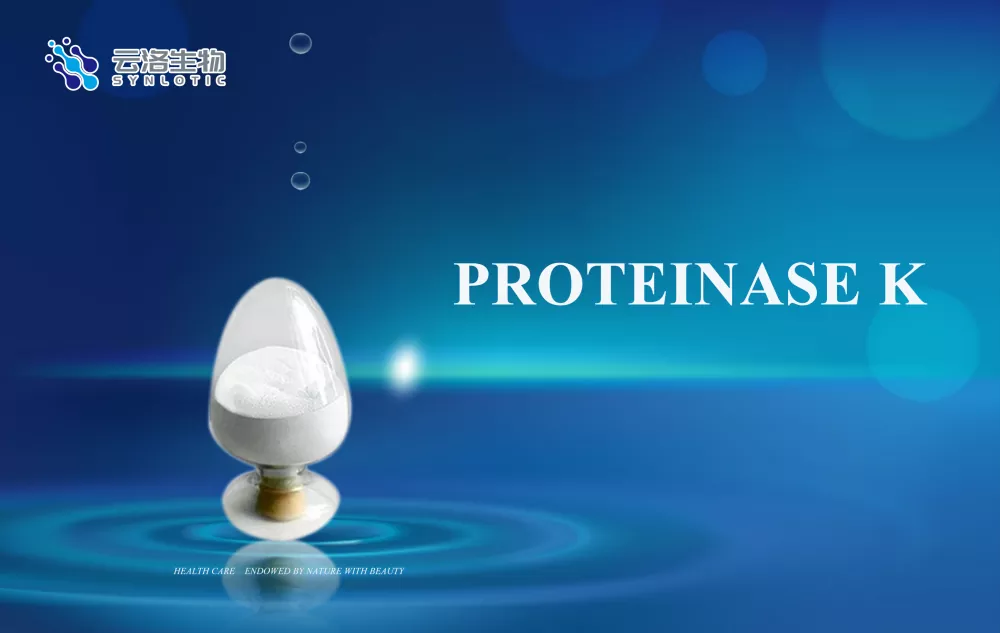 Proteinasi k