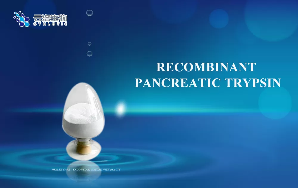 Tripsina pancreatica ricombinante